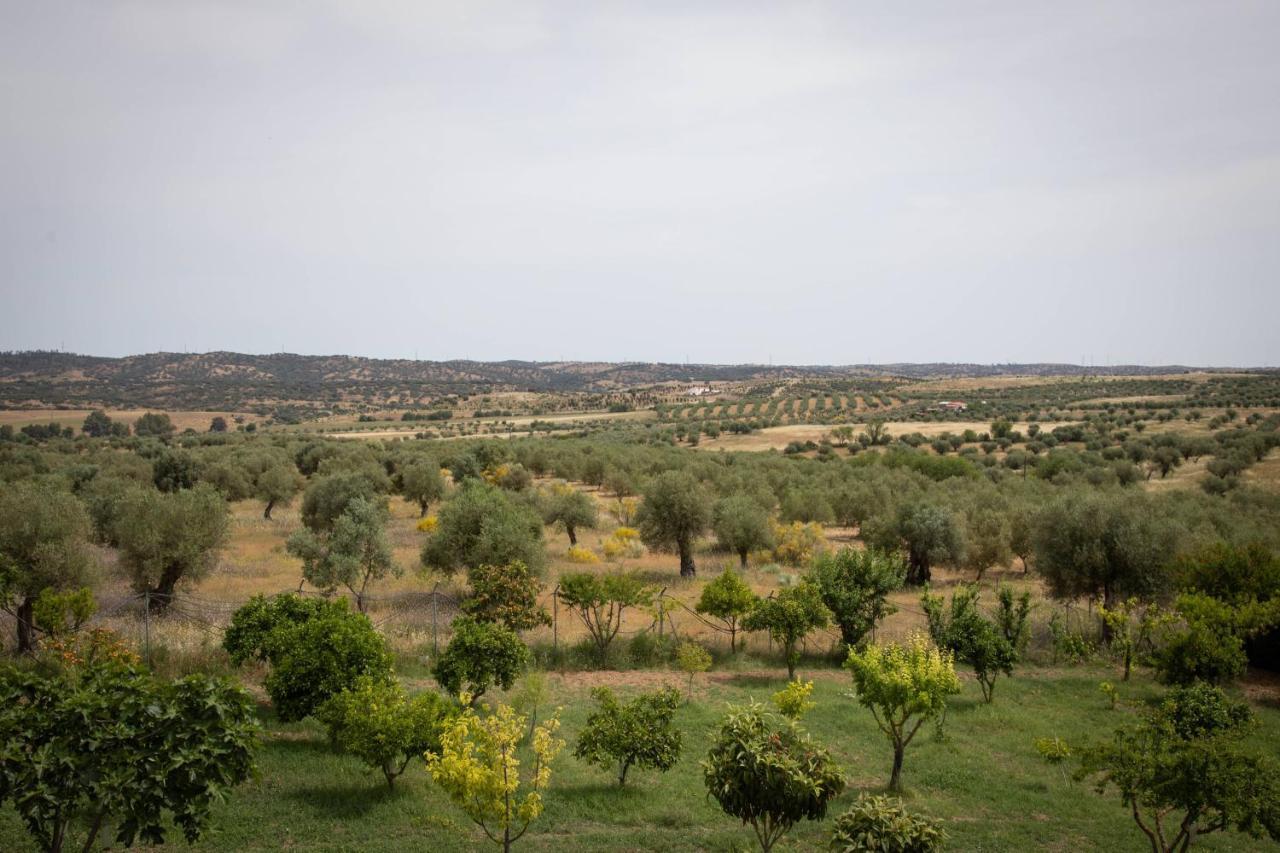Passo Do Lobo - Turismo Rural Моура Екстериор снимка